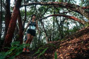 BIB: 
                            <button type="button" onclick="openModal(26344594)" class="btn btn-primary btn-sm float-right btn-popup" data-toggle="modal" data-target=".modal-high-quality">
                        <i class="fas fa-shopping-cart"></i> Add to Cart
                    </button>
                                            <button type="button" onclick="isThisMe(26344594, true)" class="btn btn-success btn-sm float-right btn-popup btn-isme hidden" data-toggle="tooltip" data-placement="bottom" title="นี่คือรูปของคุณใช่ไหม คลิกที่นี่เพื่อเอาเข้าอัลบั้ม">
                        <i class="fas fa-plus"></i> Add to album
                    </button>
                    <button type="button" onclick="isThisMe(26344594, false)" class="btn btn-warning btn-sm float-right btn-popup btn-isnotme hidden">
                        <i class="fas fa-ban"></i> Remove from album
                    </button>